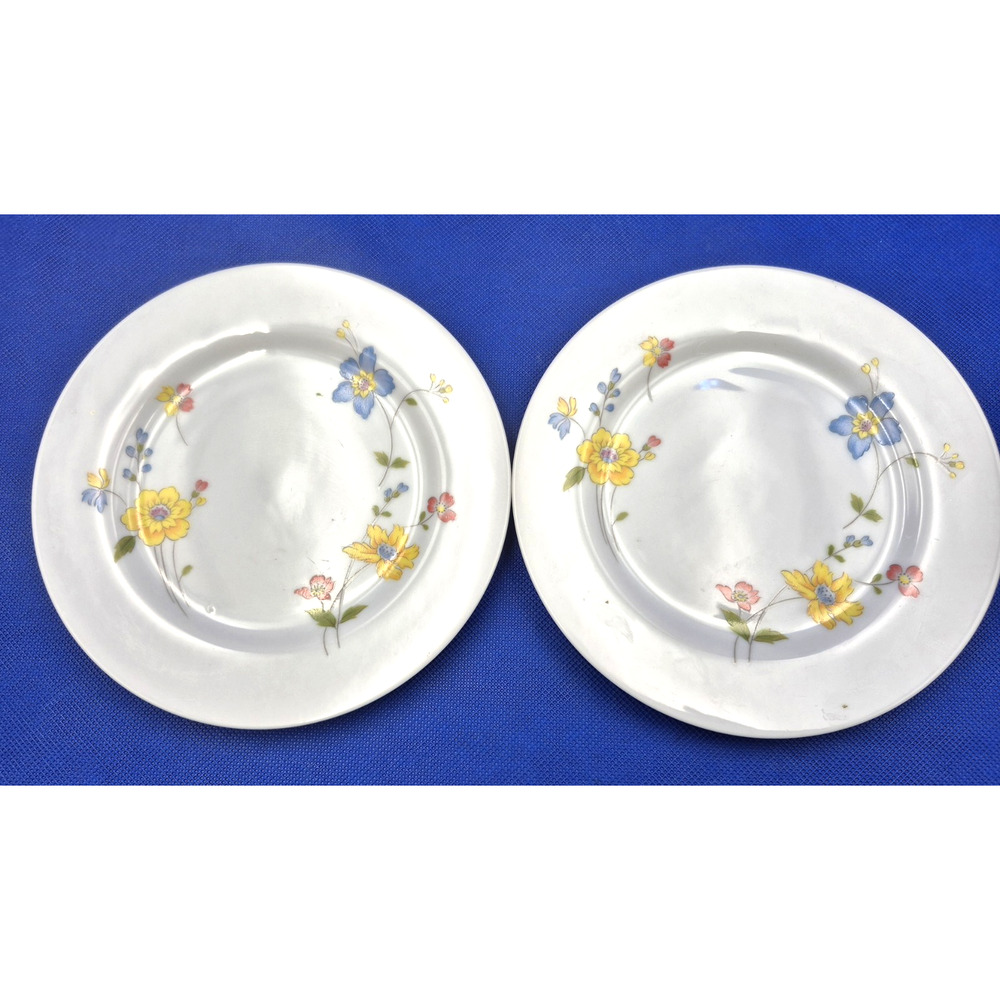 Two Floral Dessert Plates Cotillion Susan by International China 6.5" Japan